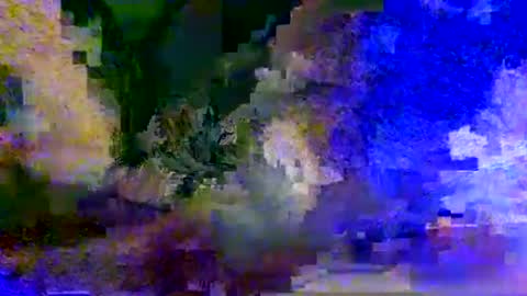 People call me AP  online show from May 19, 11:05 am