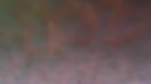 aurelius6795 online show from May 4, 6:31 pm