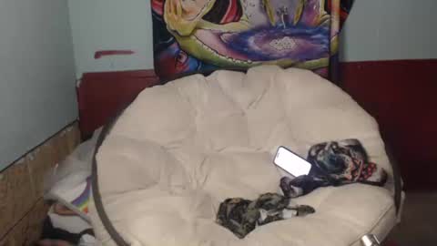 Bent Bunny online show from July 22, 2:53 pm