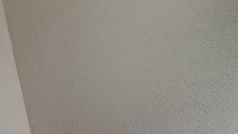 burrolabryan31 online show from July 28, 5:23 pm
