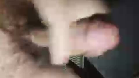 chinacock_16cm online show from August 1, 5:34 pm