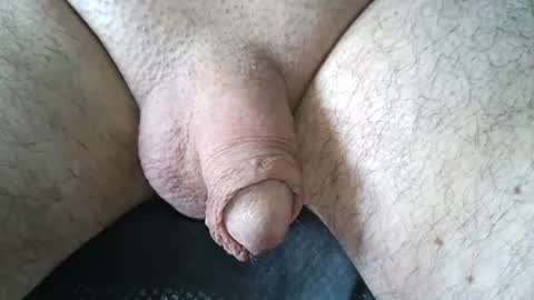 dapppper online show from June 21, 11:27 am