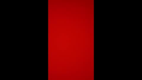 davebusiness1991 online show from May 29, 1:15 am