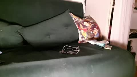 humberto_21cm online show from June 28, 2:17 am