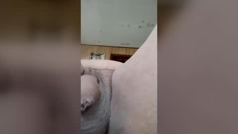 indegeniouscreature online show from June 17, 11:23 am