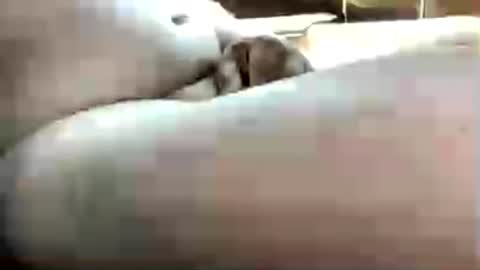 littlechubbyguy online show from June 13, 6:28 pm