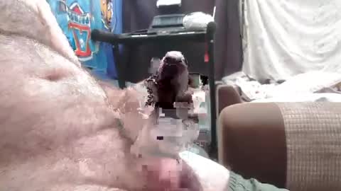 mysterymasturbator online show from July 12, 7:43 am