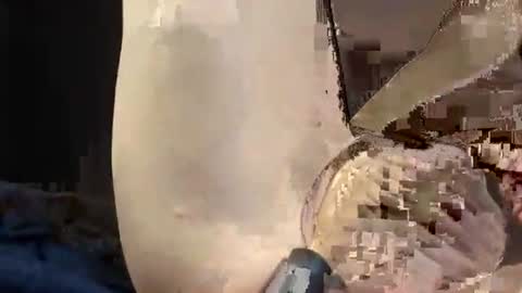 prettycock1981 online show from June 26, 8:17 am