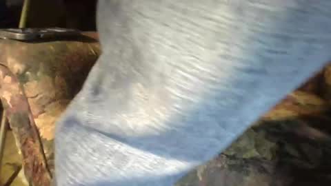 pspee313 online show from July 19, 6:41 am