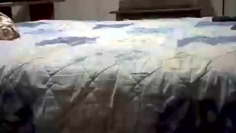 Yankee online show from July 26, 5:37 am