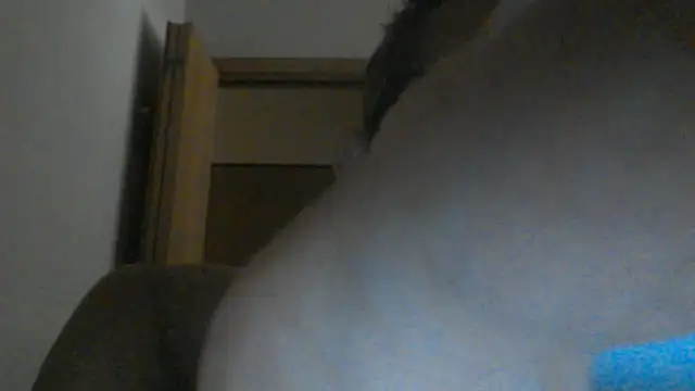 eccomi6996 online show from June 25, 8:52 am