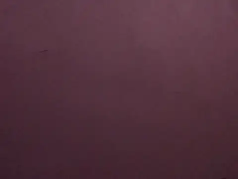 maiaJR online show from August 5, 9:42 pm