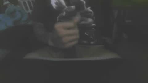 1337assman1337 online show from January 13, 1:26 pm