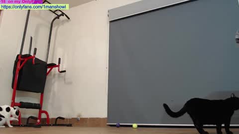 1manshow11 online show from October 29, 1:36 pm