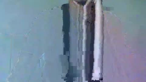 2277harsh online show from March 2, 12:14 pm