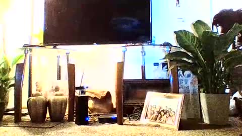 SuPa333 online show from December 12, 2:48 am