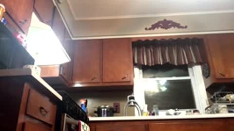 33adidas online show from December 4, 9:16 am