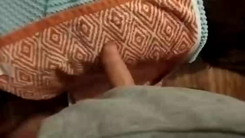 38mukfilthproof online show from November 17, 2:14 am