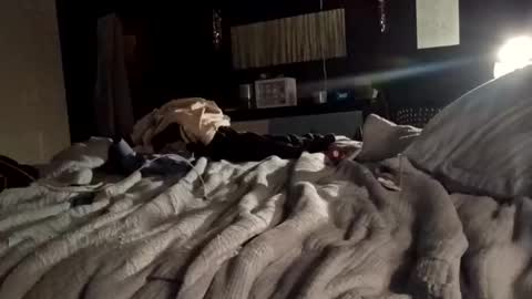 7lairddip online show from March 15, 2:52 am