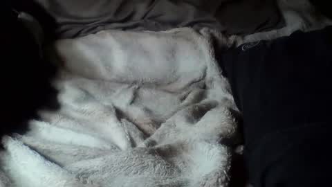 8675309r2d2 online show from September 16, 9:10 am