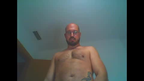 furby online show from February 18, 7:11 pm