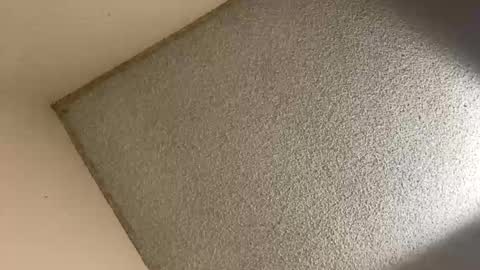 Snapshot of aaroncencal chatting on February 17, 2:20 am aaroncencal online show from February 17, 2:20 am