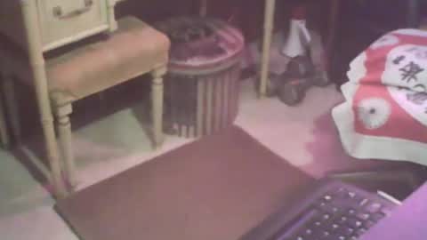 Snapshot of adamsny chatting on February 7, 8:33 am adamsny online show from February 7, 8:33 am