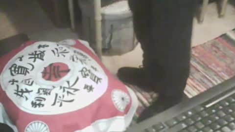 Snapshot of adamsny chatting on September 19, 5:52 am adamsny online show from September 19, 5:52 am