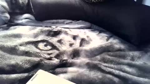 aken4it online show from April 2, 11:34 pm