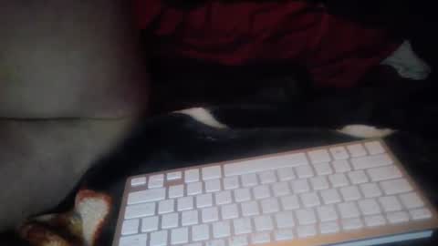 aken4it online show from October 17, 7:29 pm