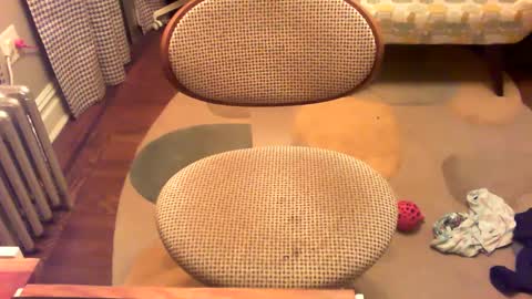 akraz1234 online show from February 21, 12:16 am