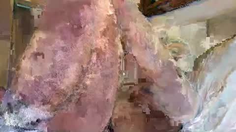 Al Ahmad online show from April 18, 6:09 pm