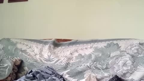 alaxcee online show from December 2, 12:05 pm