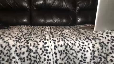 Alex and John online show from December 27, 3:09 am