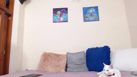 J Ruiz online show from September 14, 2:41 pm