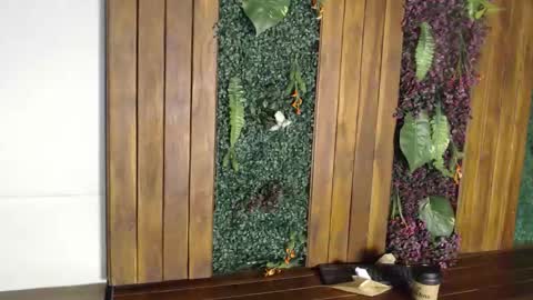 Andy Joy  online show from October 28, 11:23 am