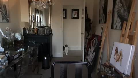 artisterotic online show from March 8, 7:57 am