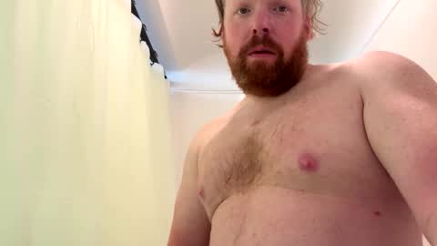 Dan online show from November 13, 4:00 pm