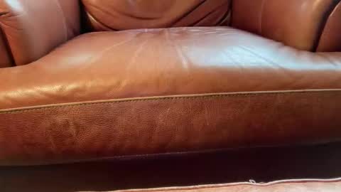 avgdiver online show from January 18, 8:22 pm