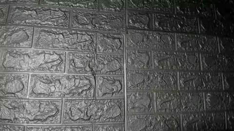 Axell Cross2 online show from March 10, 10:32 am