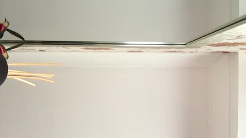 badger150 online show from February 1, 12:58 pm