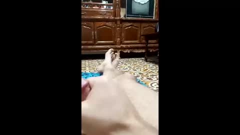 bahaa5555 online show from February 12, 4:18 am