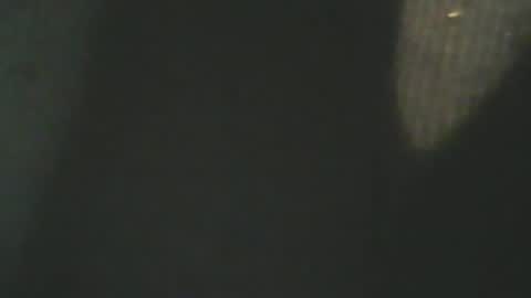Snapshot of bandapart chatting on January 16, 2:19 pm bandapart online show from January 16, 2:19 pm