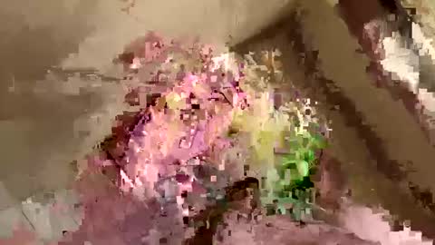 barkley314 online show from October 6, 2:33 pm