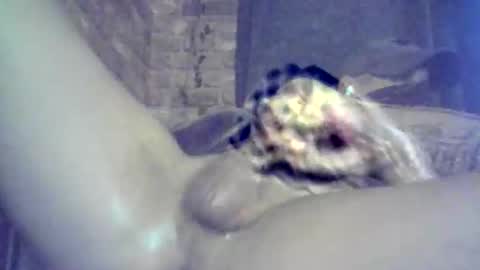 bartbartek online show from February 8, 3:49 pm