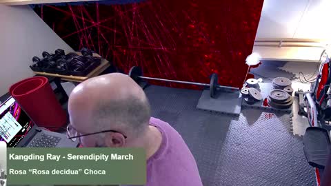 bazzz_8 online show from February 1, 6:08 pm