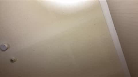 Bellsy online show from April 12, 8:49 am