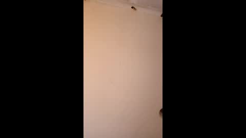 bgiamba21 online show from March 15, 6:43 am