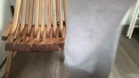 bichode10pulgadas4 online show from April 2, 7:22 pm