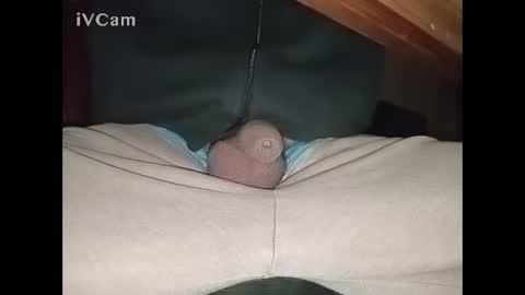 Big online show from January 13, 1:28 pm